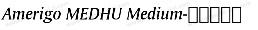Amerigo MEDHU Medium字体转换
